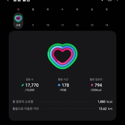 피드에 업로드 된 이미지