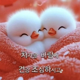 피드에 업로드 된 이미지