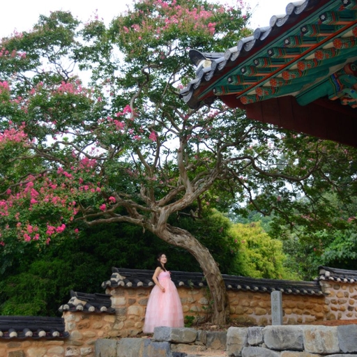 피드 이미지