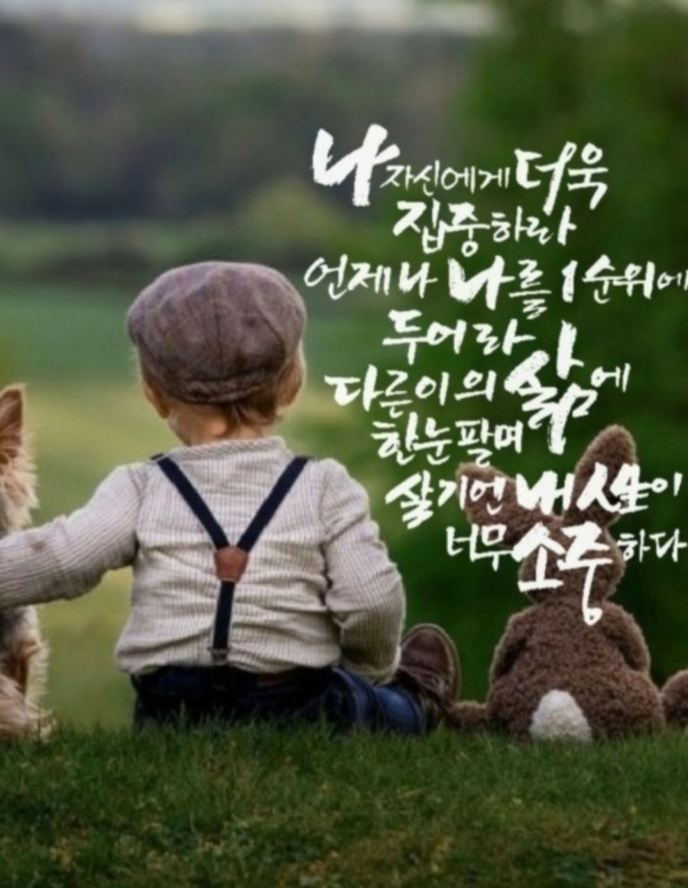 피드 이미지