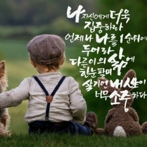 피드 이미지