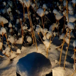 피드에 업로드 된 이미지