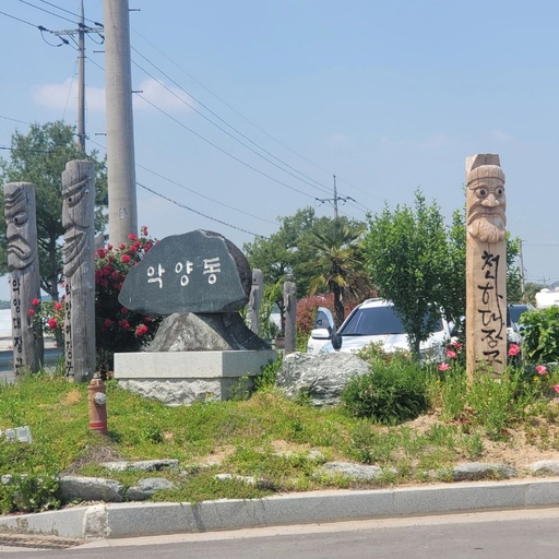 피드 이미지