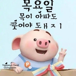 피드에 업로드 된 이미지