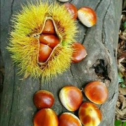 ํผ๋์ ์
๋ก๋ ๋ ์ด๋ฏธ์ง