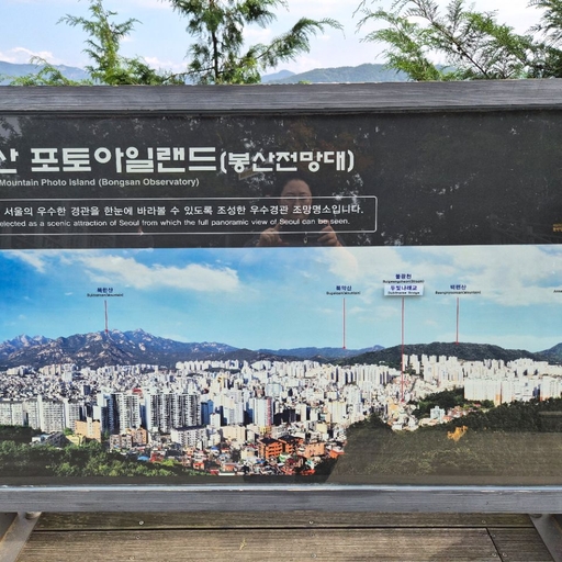 피드 이미지