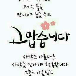 피드에 업로드 된 이미지
