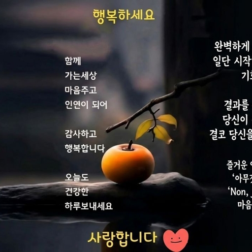 피드 이미지