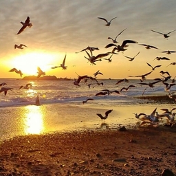 피드에 업로드 된 이미지