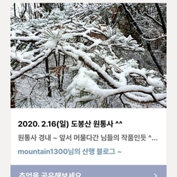 피드에 업로드 된 이미지