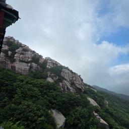 피드에 업로드 된 이미지