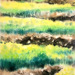 피드에 업로드 된 이미지