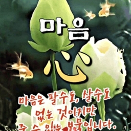 피드에 업로드 된 이미지