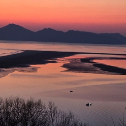 피드에 업로드 된 이미지