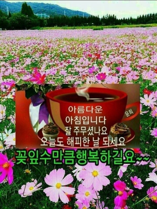 피드에 업로드 된 이미지
