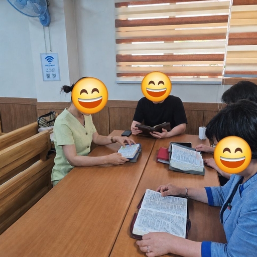 피드 이미지