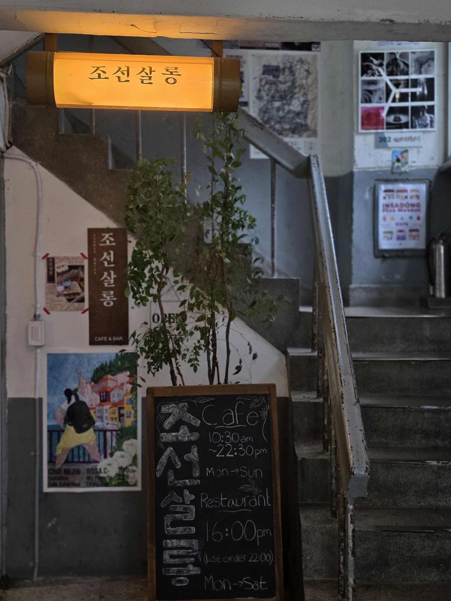 피드 이미지
