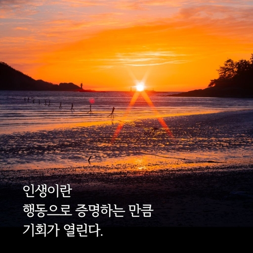 피드 이미지