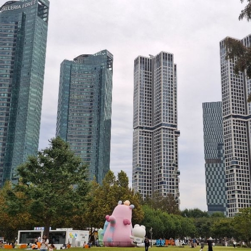 피드 이미지
