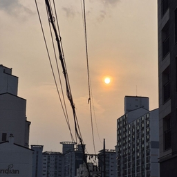 피드에 업로드 된 이미지