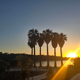 피드에 업로드 된 이미지