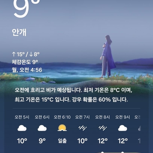 피드 이미지