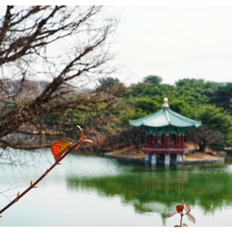 피드에 업로드 된 이미지