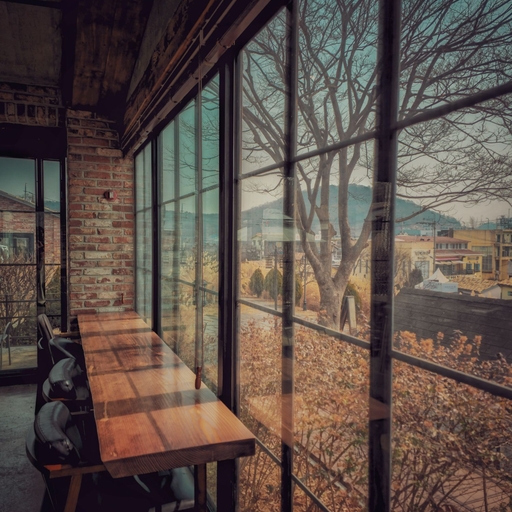 피드 이미지