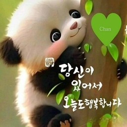 피드에 업로드 된 이미지
