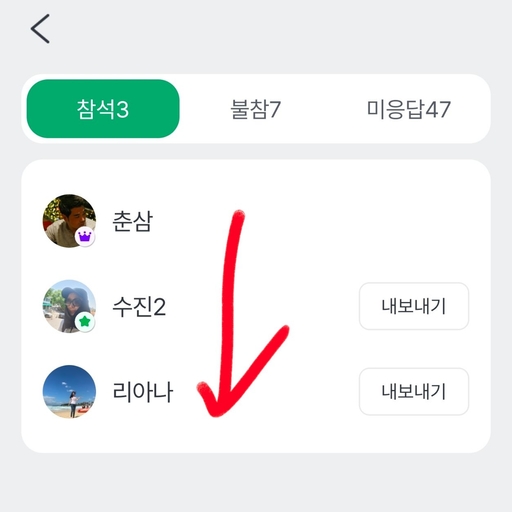 피드 이미지