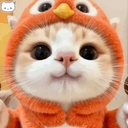 멤버 프로필