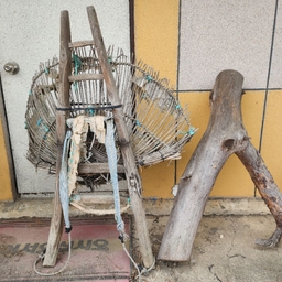 피드에 업로드 된 이미지