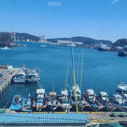 피드에 업로드 된 이미지