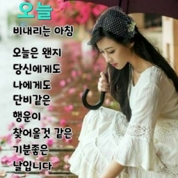 피드에 업로드 된 이미지