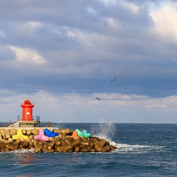 피드에 업로드 된 이미지