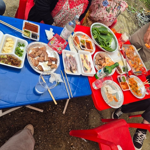 피드 이미지