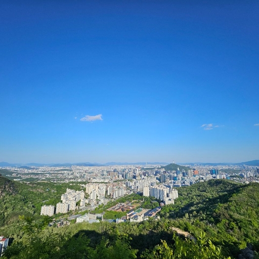 피드 이미지