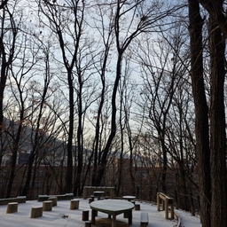 피드에 업로드 된 이미지