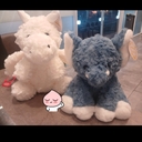 ๋ฉค๋ฒ ํ๋กํ