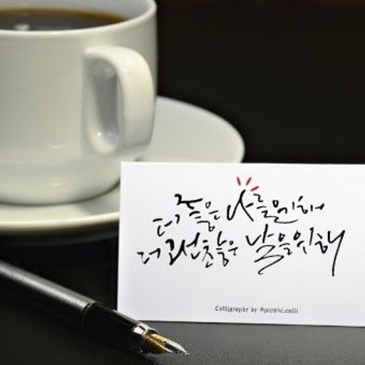 피드 이미지