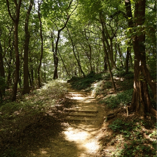 피드 이미지