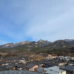 피드에 업로드 된 이미지