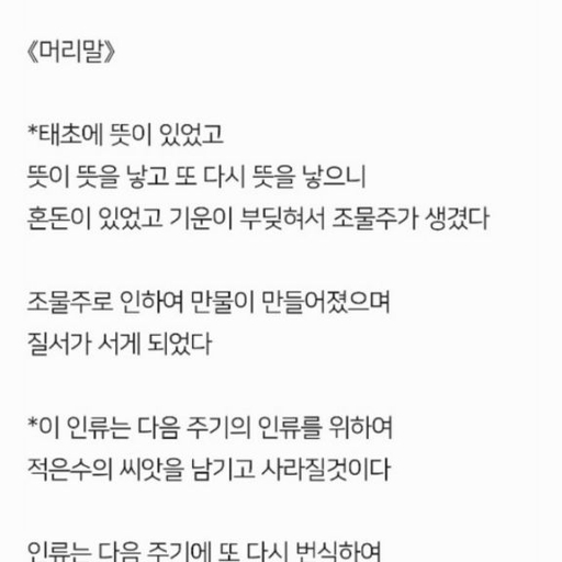피드 이미지