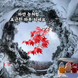 피드에 업로드 된 이미지