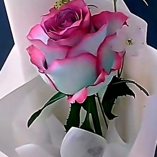 ํผ๋ ์ด๋ฏธ์ง