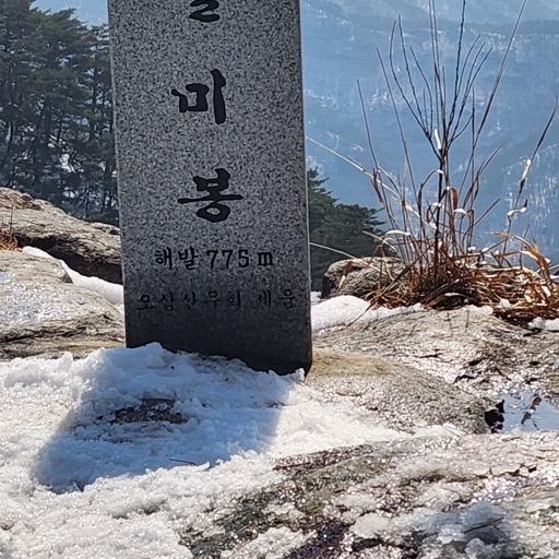 피드 이미지