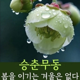 피드에 업로드 된 이미지