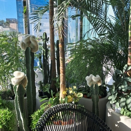 피드에 업로드 된 이미지