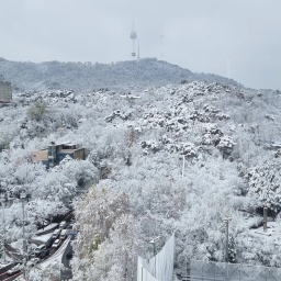 피드에 업로드 된 이미지