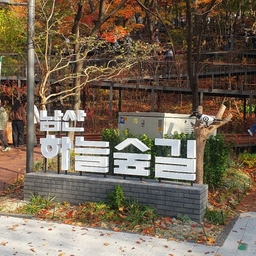 피드에 업로드 된 이미지